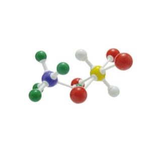 Modello molecolare set per insegnanti - MOLM-002-001