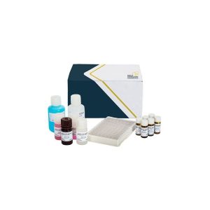 Kit Elisa per la determinazione dell'aflatossina B1 nei cereali e nelle noci in piastra - AB1-E01