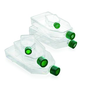 Fiasca trattata per colture cellulari vol.   70 ml   5 area interna cm2  25 cf. 300 pz. - 25025